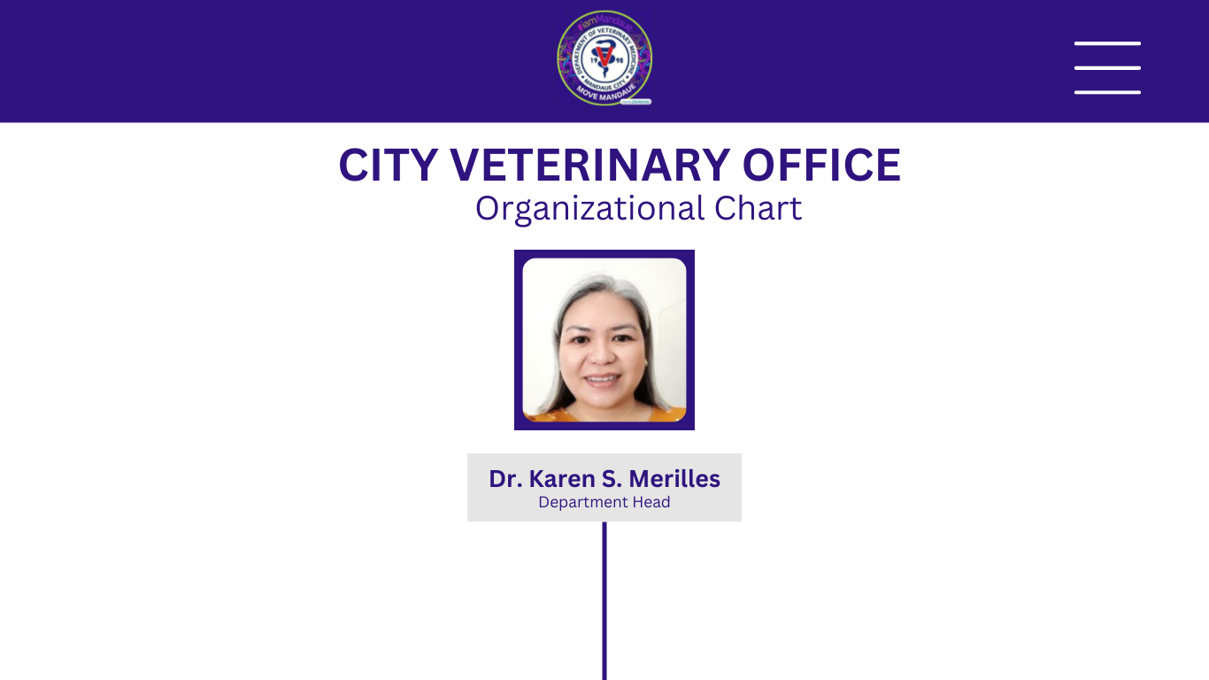 City Veterinary Office Chart